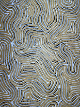 Load image into Gallery viewer, &quot;Seed Dreaming&quot; Marshall Jangala Robertson 61cm x 91cm
