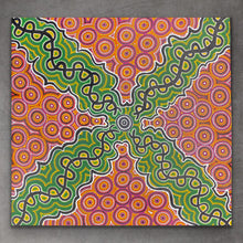 Load image into Gallery viewer, &quot;Snake Vine Dreaming&quot; Vivienne Nakamarra Kelly 90cm x 93cm
