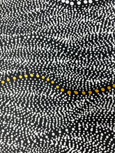 Load image into Gallery viewer, &quot;Seed Dreaming&quot; Marshall Jangala Robertson 120cm x 78cm
