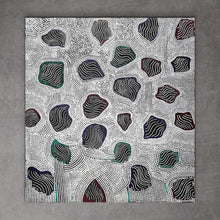 Load image into Gallery viewer, &quot;Salt Lakes and Claypan&quot; Alice Granites Napanangka 90cm x 96cm
