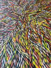 Load image into Gallery viewer, &quot;Bush Medicine Leaves&quot; Heather Long Pitjara 199cm x 109cm
