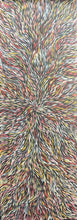 Load image into Gallery viewer, &quot;Bush Medicine Leaves&quot; by Jeannie Petyarre (Pitjara) 71cm x 200cm
