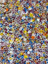 Load image into Gallery viewer, &quot;Bush Plums&quot; Bessie Pitjara 200cm x 130cm
