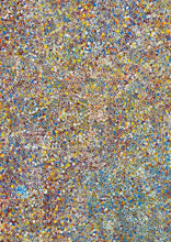 Load image into Gallery viewer, &quot;Bush Plums&quot; Bessie Pitjara 200cm x 130cm
