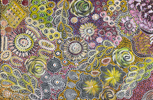Load image into Gallery viewer, &quot;Bush Yam Dreaming&quot; Janet Golder Kngwarreye 60cm x 91cm
