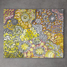 Load image into Gallery viewer, &quot;My Country (Utopia)&quot; Janet Golder Kngwarreye 72cm x 60cm
