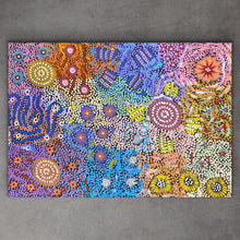 Load image into Gallery viewer, &quot;Grandmother&#39;s Country&quot; Michelle Possum Nungurrayi 81cm x 54cm
