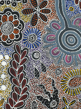 Load image into Gallery viewer, &quot;Bush Flowers&quot; Bernadine Johnson Kemarre 144cm x 94cm
