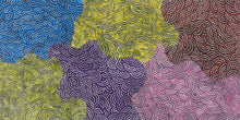 Load image into Gallery viewer, &quot;Ngurlu Dreaming (Native Seeds)&quot; Risharna Dickson 60cm x 118cm

