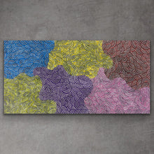 Load image into Gallery viewer, &quot;Ngurlu Dreaming (Native Seeds)&quot; Risharna Dickson 60cm x 118cm
