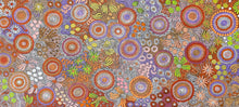 Load image into Gallery viewer, &quot;Budgerigar Dreaming&quot; Julieanne Nungurrayi Turner 194cm x 85cm
