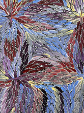 Load image into Gallery viewer, &quot;Bush Medicine Leaves&quot; Bernadine Johnson Kemarre 60cm x 62cm *
