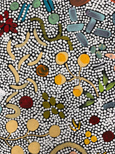 Load image into Gallery viewer, &quot;Bush Tucker&quot; Rowena Larry 150cm x 78cm
