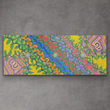 Load image into Gallery viewer, &quot;Snake Vine Dreaming&quot; Vivienne Nakamarra Kelly 170cm x 81cm
