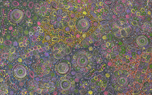 Load image into Gallery viewer, &quot;My Country&quot; Belinda Golder Kngwarreye 153cm x 95cm
