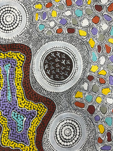 Load image into Gallery viewer, &quot;Budgerigar Dreaming&quot; Gwenda Turner Nungurrayi 80cm x 117cm
