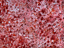 Load image into Gallery viewer, &quot;Bush Plums&quot; Bessie Pitjara 159cm x 97cm
