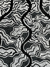 Load image into Gallery viewer, &quot;Snake Vine Dreaming&quot; Vivienne Nakamarra Kelly 89cm x 43cm
