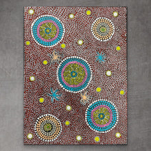 Load image into Gallery viewer, &quot;Bush Flower&quot; Sonia Tilmouth 46cm x 60cm
