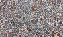 Load image into Gallery viewer, &quot;Sand Dunes (Tali)&quot; Maureen Nampijinpa Hudson 152cm x 89cm
