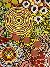 Load image into Gallery viewer, &quot;Budgerigar Dreaming and Bush Tucker Story&quot; Julieanne Nungurrayi Turner 74cm x 59cm
