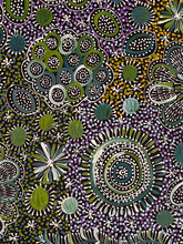 Load image into Gallery viewer, &quot;My Country&quot; Belinda Golder Kngwarreye 140cm x 97cm
