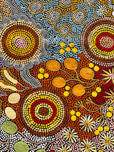 Load image into Gallery viewer, &quot;Budgerigar Story &amp; Bush Tucker&quot; Julieanne Nungurrayi Turner 204cm x 87cm
