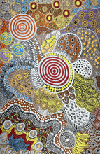 Load image into Gallery viewer, &quot;Budgerigar Country&quot; Julieanne Nungurrayi Turner 122cm x 80cm
