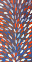 Load image into Gallery viewer, &quot;Medicine Leaves&quot; Gloria Petyarre (Pitjara) 106cm x 201cm
