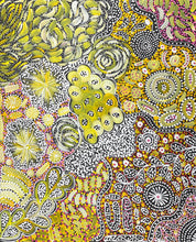 Load image into Gallery viewer, &quot;My Country (Utopia)&quot; Janet Golder Kngwarreye 72cm x 60cm
