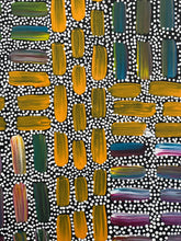 Load image into Gallery viewer, &quot;Bush Yam Dreaming&quot; by Natalie Mills 210cm x 80cm
