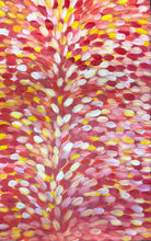 Load image into Gallery viewer, &quot;Medicine Leaves&quot; Tanya Bird Mpetyane 126cm x 198cm *
